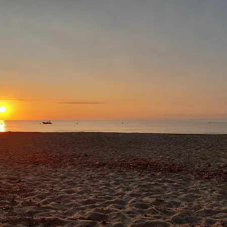 Pascal Paoli Fior Di Mare *