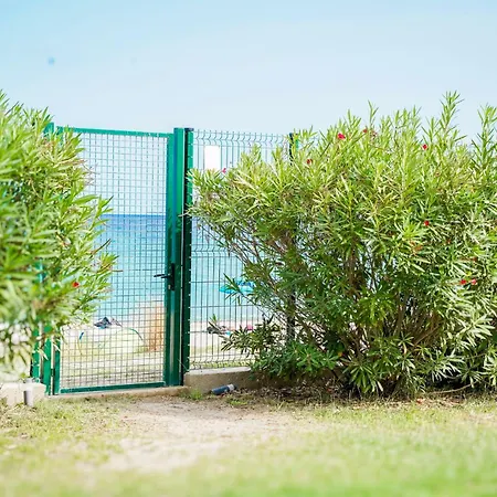 Pascal Paoli Fior Di Mare *