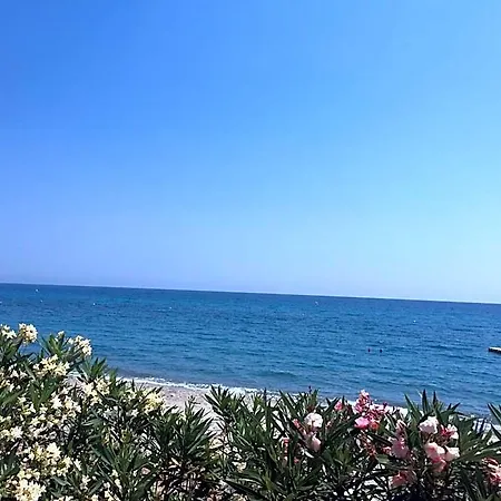Pascal Paoli Fior Di Mare