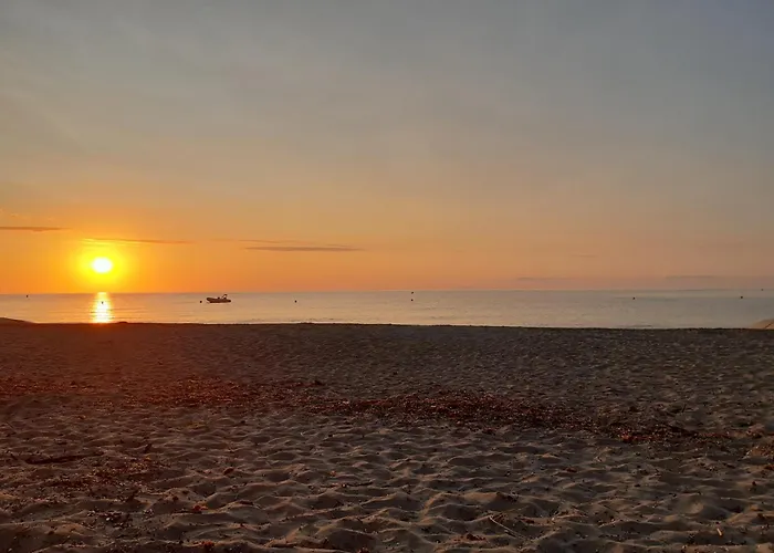 Pascal Paoli Fior Di Mare *